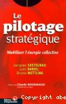 Le pilotage stratégique vignette