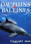 Dauphins et baleines vignette