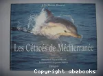 Les cétacés de Méditerranée vignette