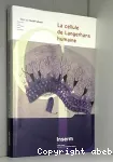 La cellule de langerhans humaine vignette